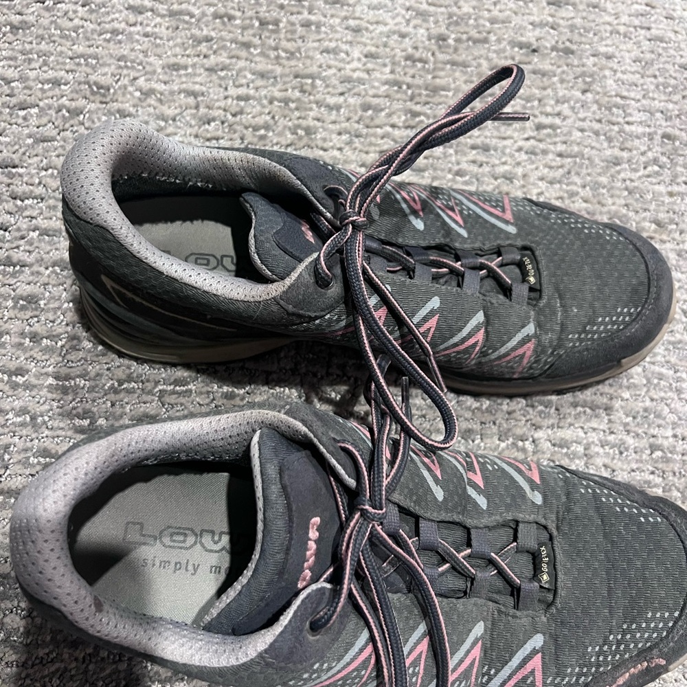 Lowa Gray and Pink FeroX Pro GTX Shoes
